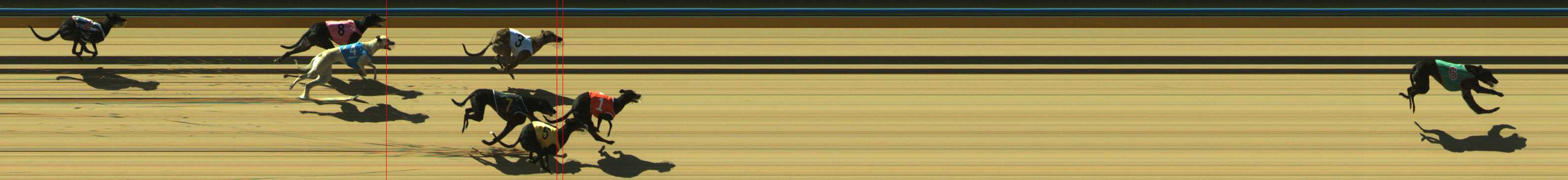 Photo finish for Traralgon Race 5