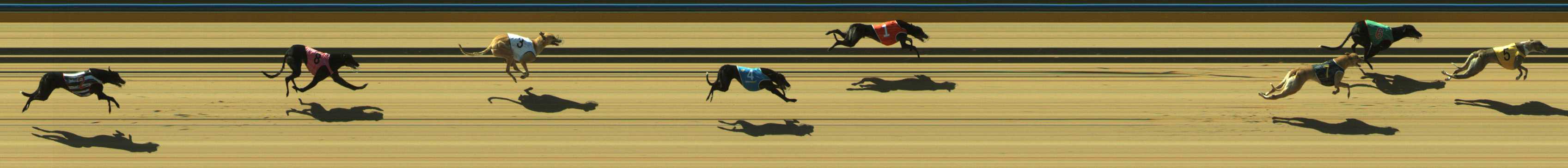 Photo finish for Traralgon Race 6
