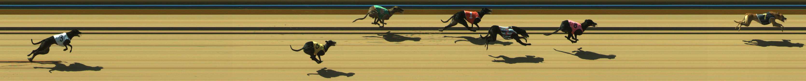 Photo finish for Traralgon Race 7