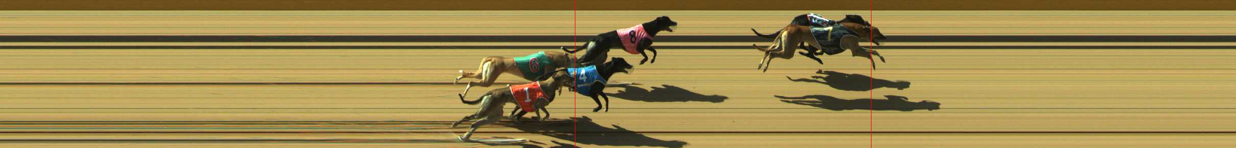Photo finish for Traralgon Race 8