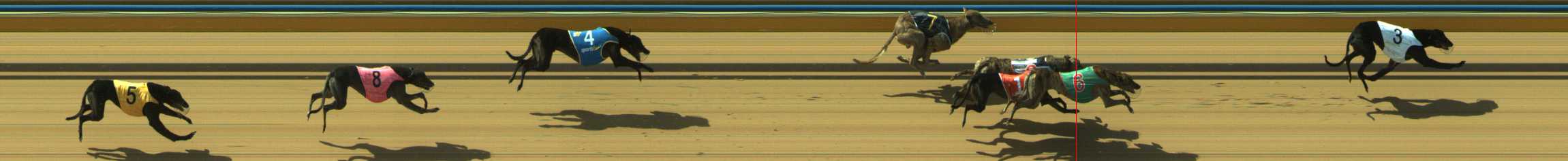 Photo finish for Traralgon Race 9