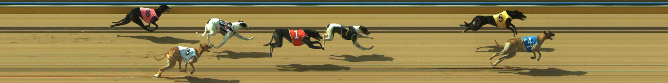 Photo finish for Traralgon Race 10