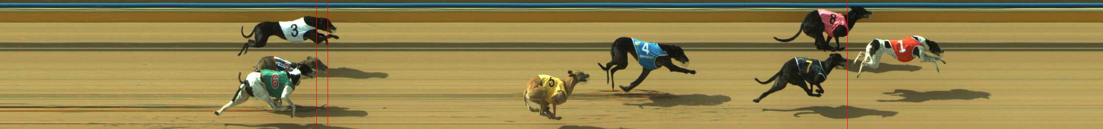 Photo finish for Traralgon Race 11