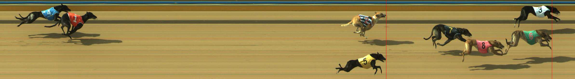 Photo finish for Traralgon Race 12