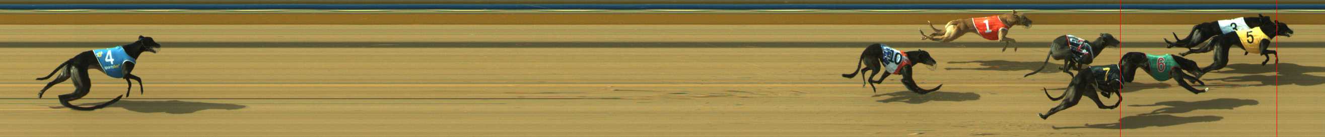 Photo finish for Traralgon Race 13
