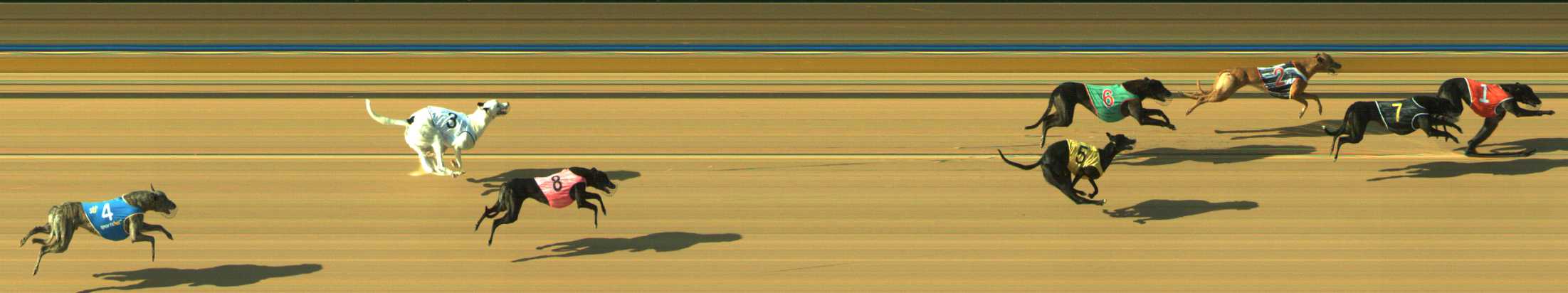 Photo finish for Traralgon Race 1