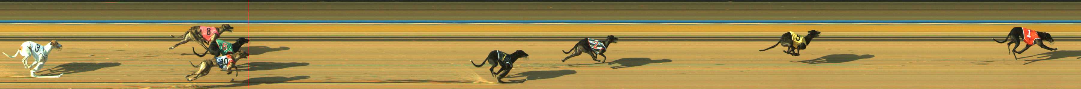 Photo finish for Traralgon Race 2