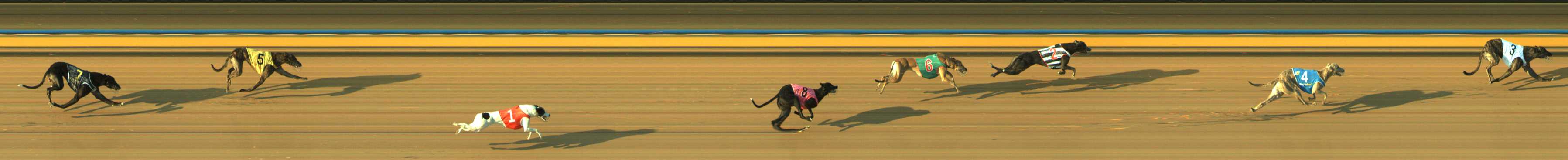 Photo finish for Traralgon Race 3