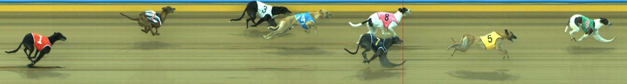 Photo finish for Traralgon Race 4