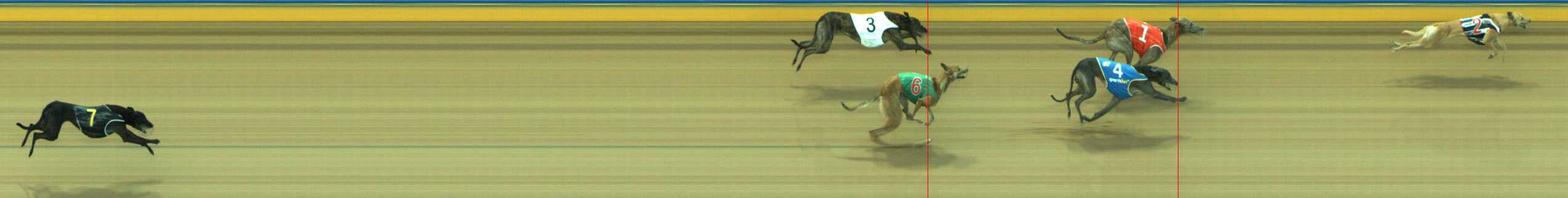 Photo finish for Traralgon Race 5
