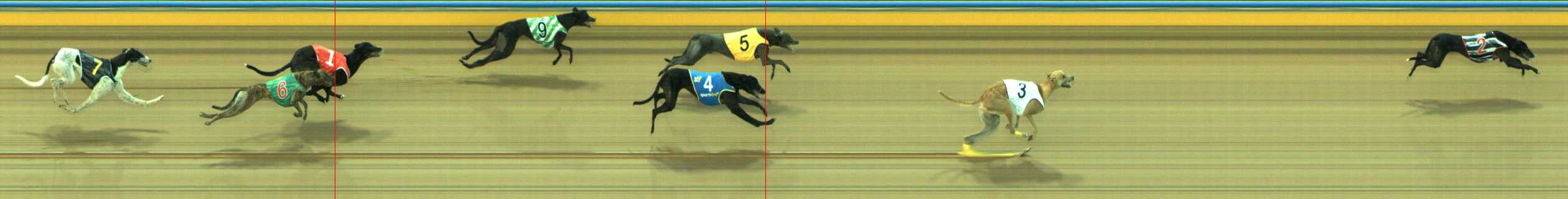 Photo finish for Traralgon Race 6