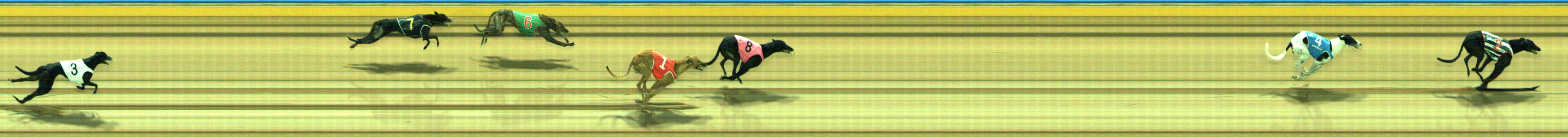 Photo finish for Traralgon Race 8