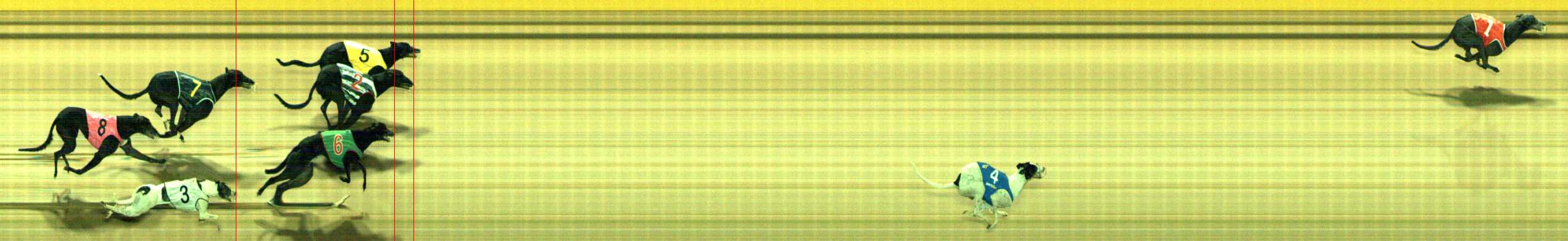Photo finish for Traralgon Race 9