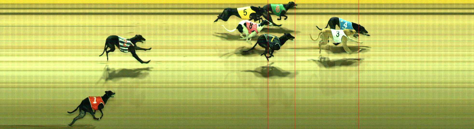 Photo finish for Traralgon Race 10