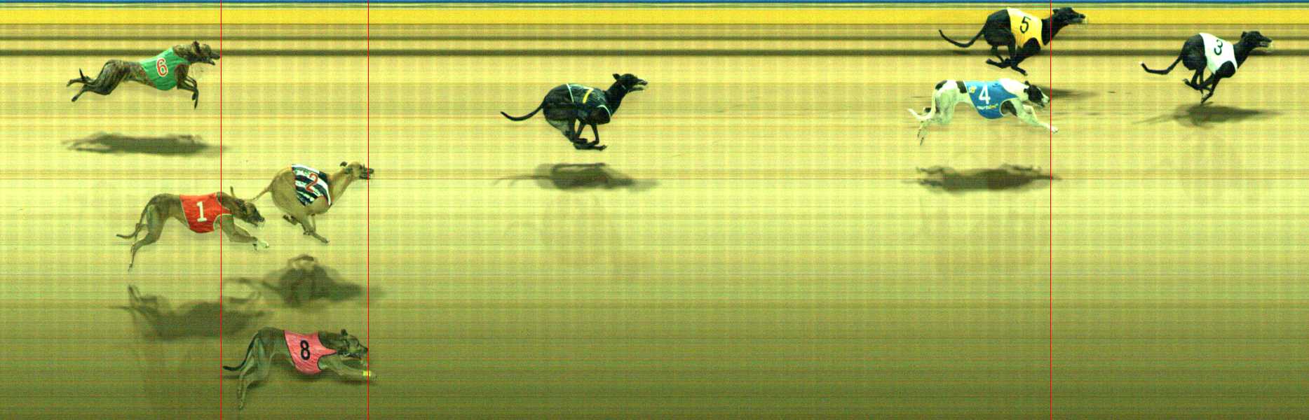 Photo finish for Traralgon Race 11