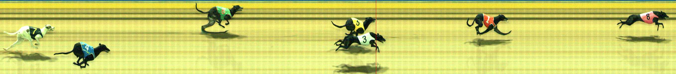 Photo finish for Traralgon Race 12