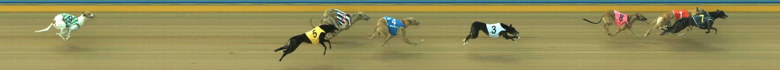 Photo finish for Traralgon Race 2