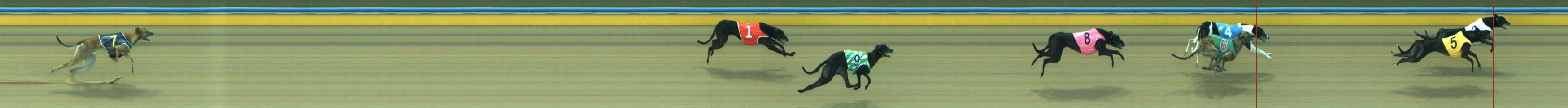 Photo finish for Traralgon Race 3