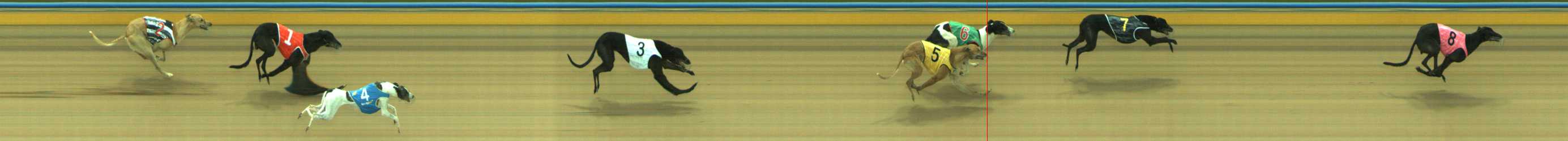 Photo finish for Traralgon Race 4