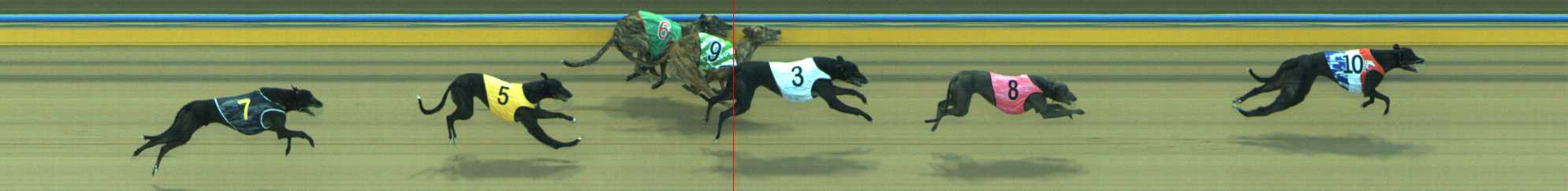 Photo finish for Traralgon Race 5
