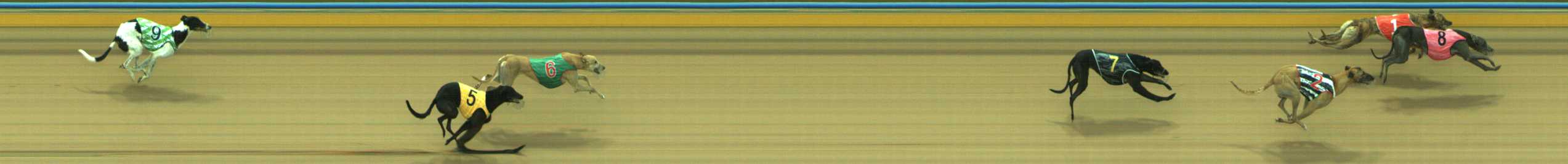 Photo finish for Traralgon Race 6
