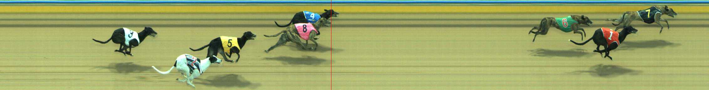 Photo finish for Traralgon Race 7