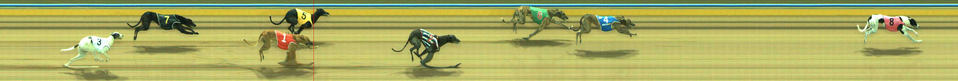 Photo finish for Traralgon Race 8
