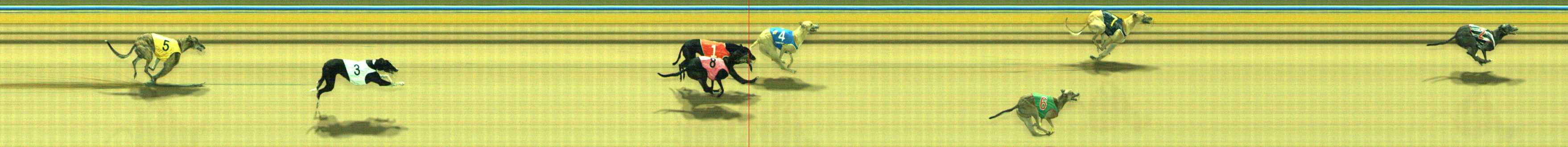 Photo finish for Traralgon Race 9
