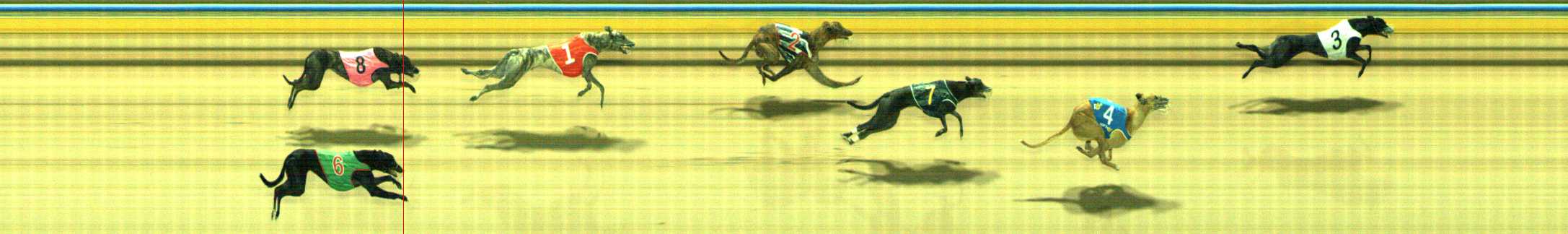 Photo finish for Traralgon Race 10