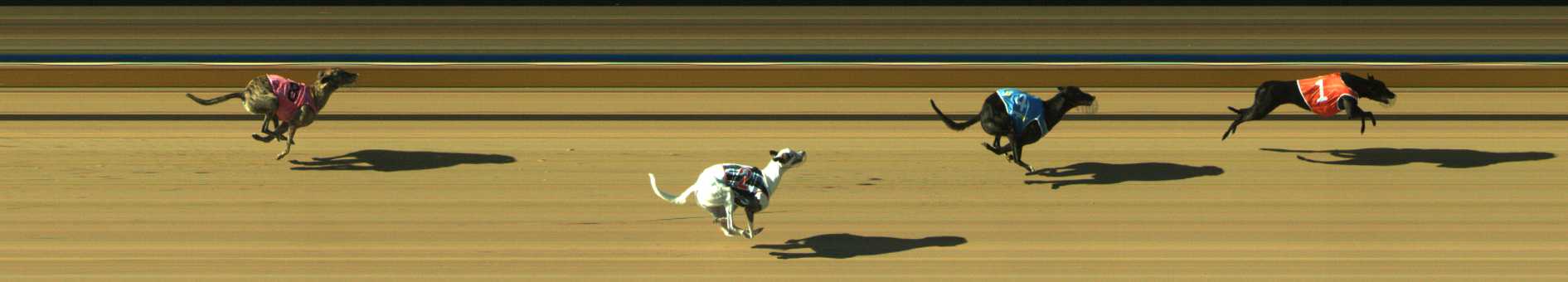 Photo finish for Traralgon Race 1