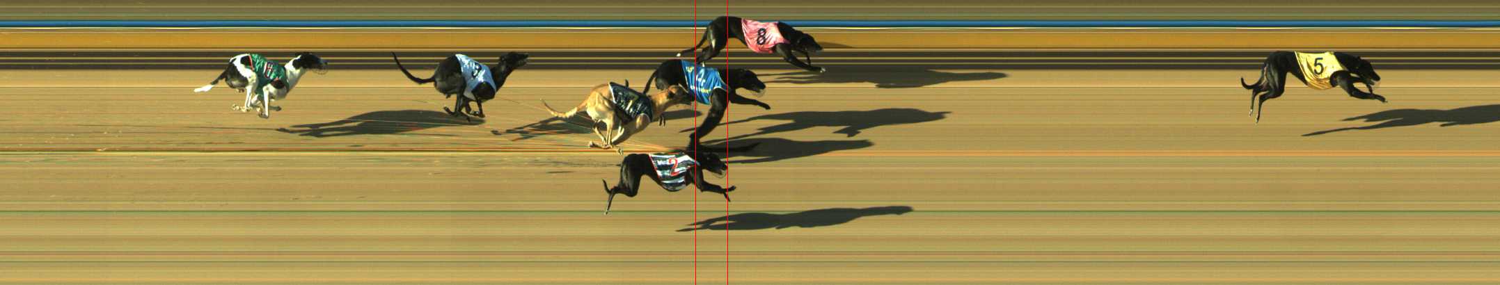 Photo finish for Traralgon Race 3