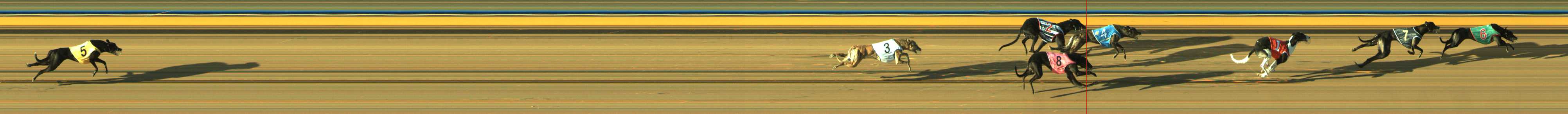 Photo finish for Traralgon Race 4