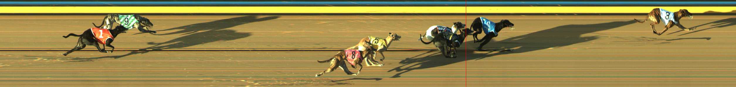 Photo finish for Traralgon Race 5