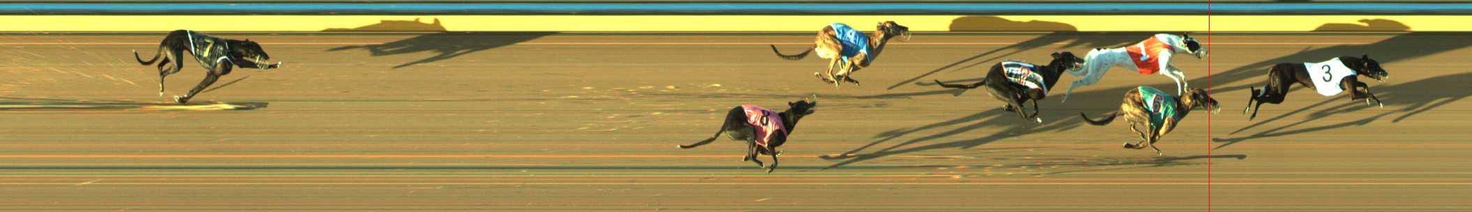 Photo finish for Traralgon Race 6