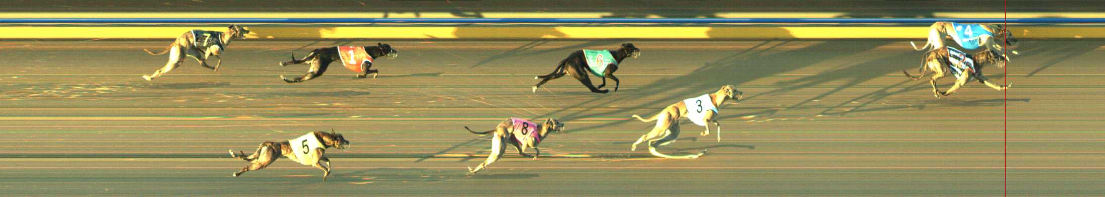 Photo finish for Traralgon Race 7