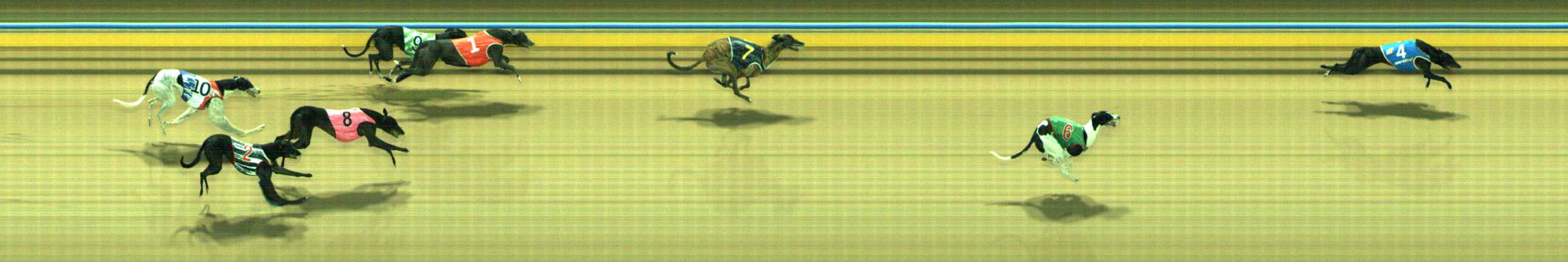 Photo finish for Traralgon Race 8