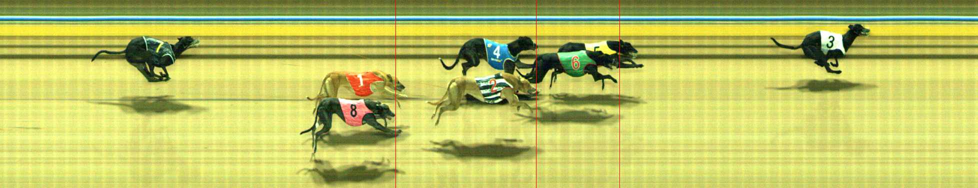 Photo finish for Traralgon Race 9