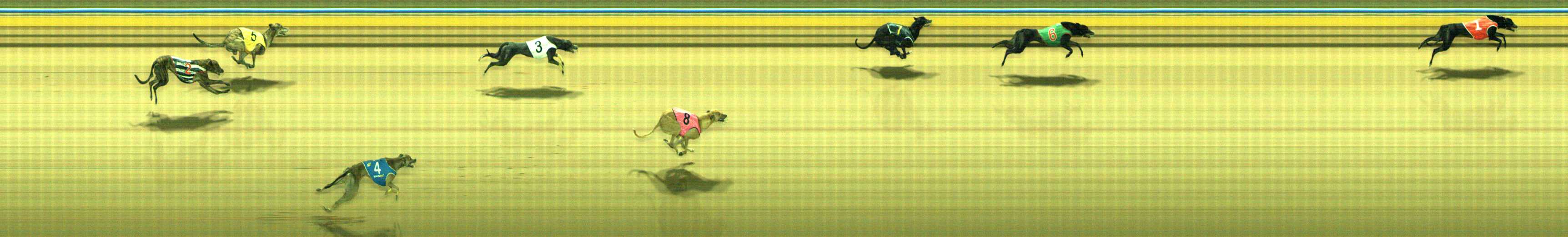 Photo finish for Traralgon Race 10