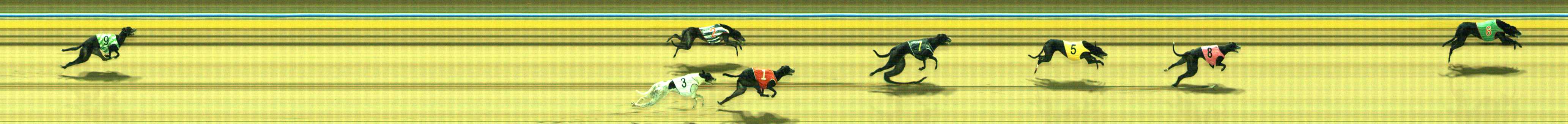 Photo finish for Traralgon Race 11