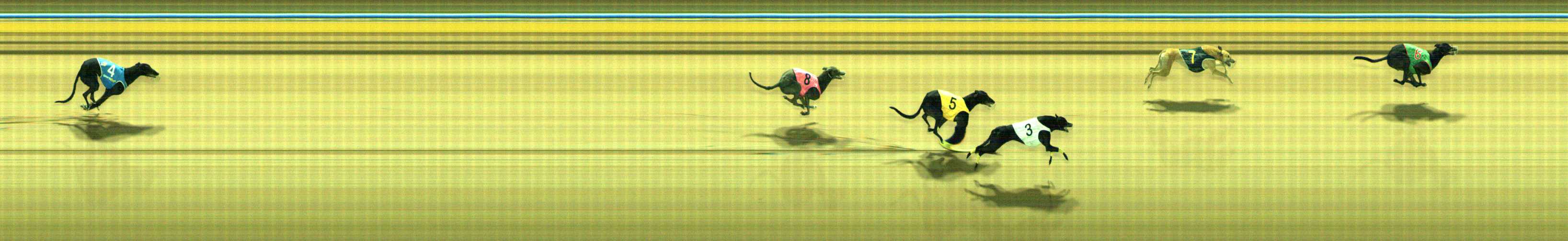 Photo finish for Traralgon Race 12