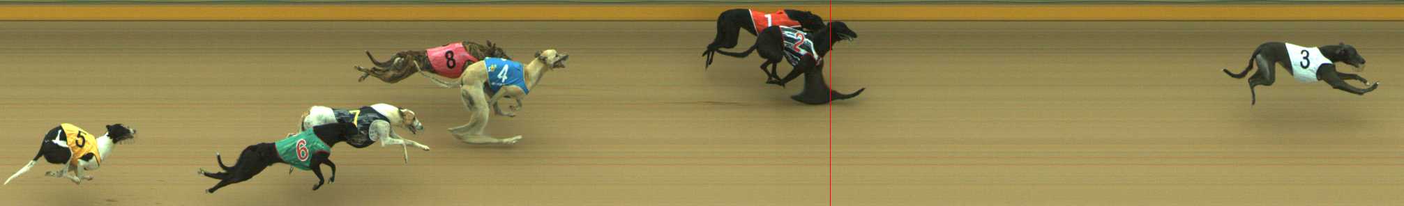 Photo finish for Traralgon Race 1