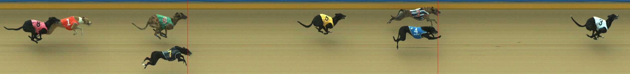 Photo finish for Traralgon Race 2