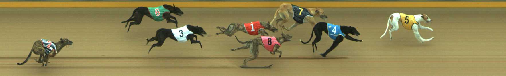 Photo finish for Traralgon Race 3