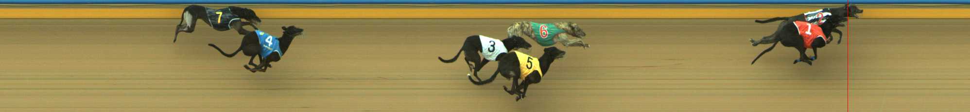 Photo finish for Traralgon Race 4