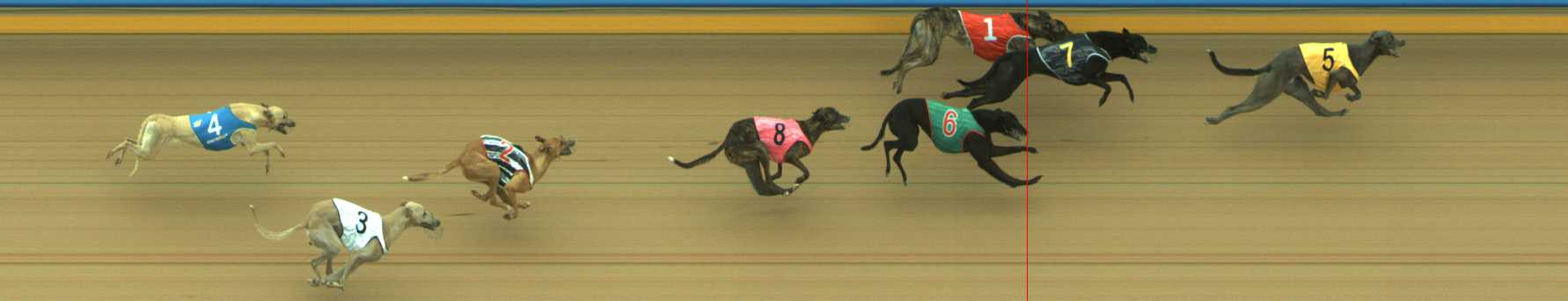 Photo finish for Traralgon Race 5