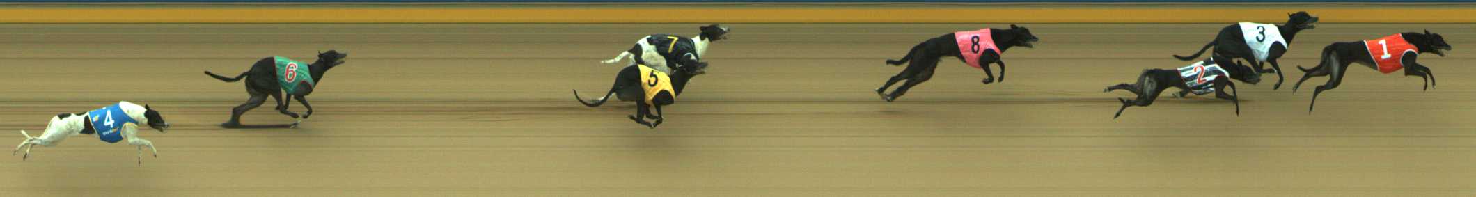 Photo finish for Traralgon Race 6