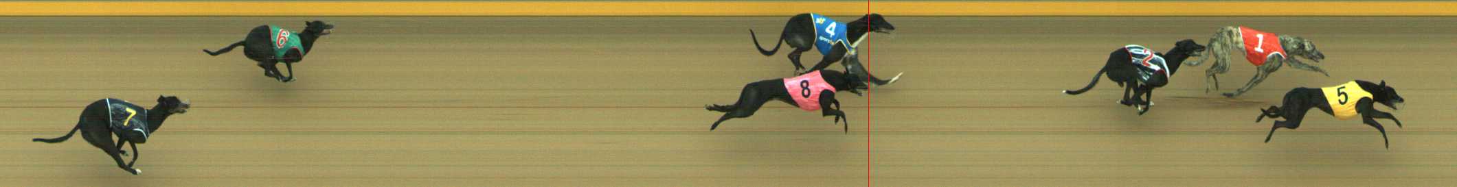 Photo finish for Traralgon Race 7