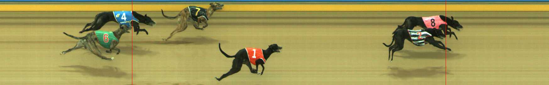 Photo finish for Traralgon Race 8