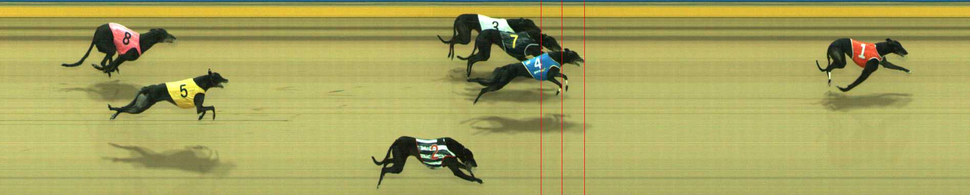 Photo finish for Traralgon Race 9