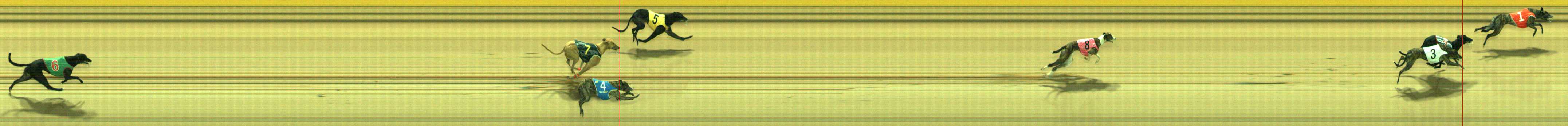 Photo finish for Traralgon Race 10